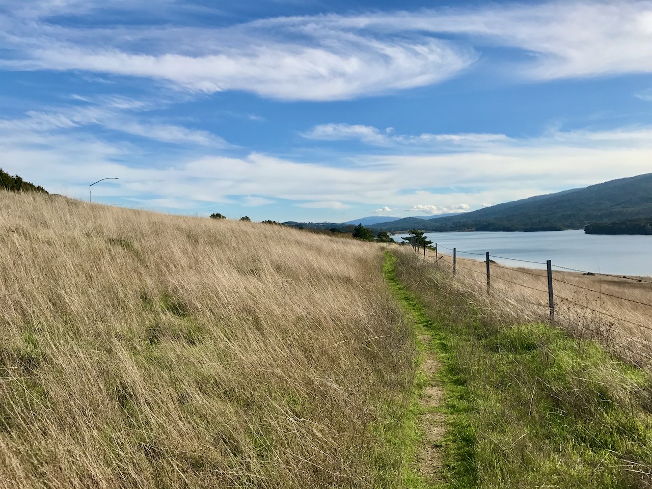 A narrow grass trail along a golden hillside above blue water
